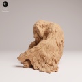 35130722_Sumatran Orangutan Sit 1.png
