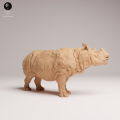 35130723_Sumatran Rhino Male 1.png