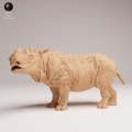 35130723_Sumatran Rhino Male 3.png