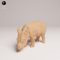 35130724_Sumatran Rhino Calf 3.png