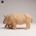 35130724_Sumatran Rhino with Calf 1.png