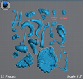 Yidhari_Pieces.png