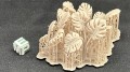 99160123_xMonstera_03.jpg