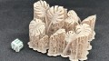 99160123_xMonstera_04.jpg