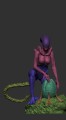 Xenomorph-Female.jpg