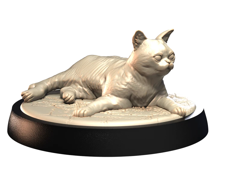 AMERICAN_SHORTHAIR_2.png