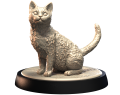 AMERICAN_WIREHAIR_2.png