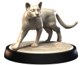 BENGAL_1.png