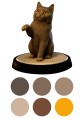 BRITISH_SHORTHAIR_1.jpg