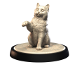 BRITISH_SHORTHAIR_1.png
