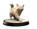 BRITISH_SHORTHAIR_2.png