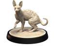 DEVON_REX_1.png