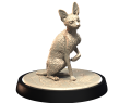 DEVON_REX_2.png