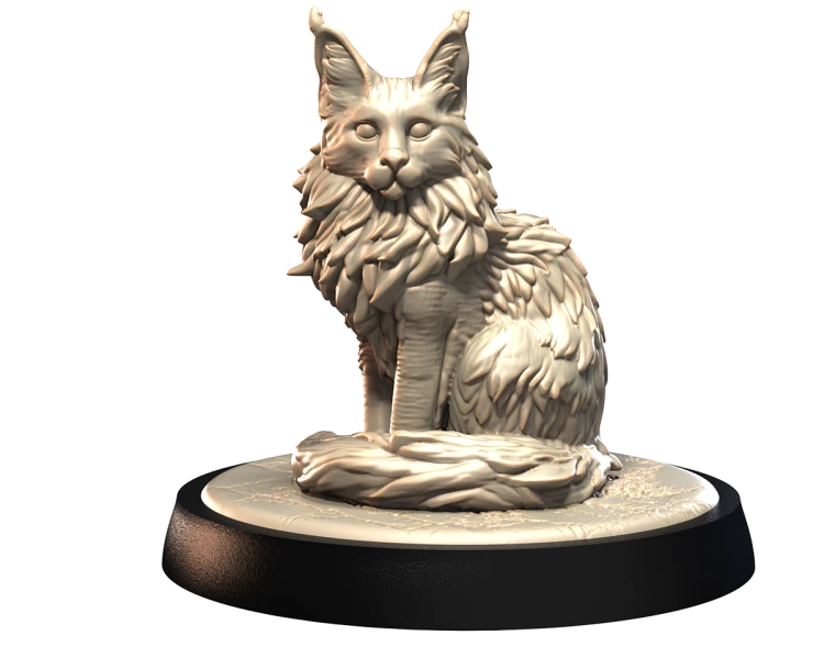 MAINE_COON_1.png