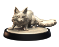 MAINE_COON_2.png