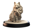NORWEGIAN_FOREST_CAT_1.png