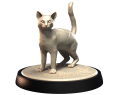 OCICAT_1.png