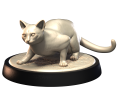 OCICAT_2.png