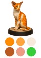 ORIENTAL_SHORTHAIR_1.jpg