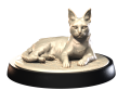 SAVANNAH_1.png