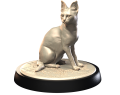 SAVANNAH_2.png