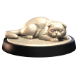 SCOTTISH_FOLD_2.png