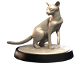 SIAMESE_2.png