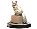 TURKISH_ANGORA_1.png