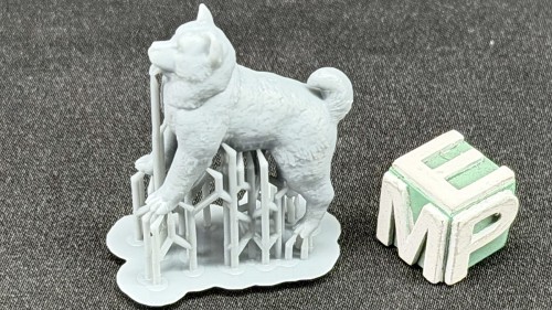 35130154_Akita American.jpg