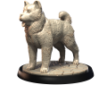 AKITA AMERICAN.png
