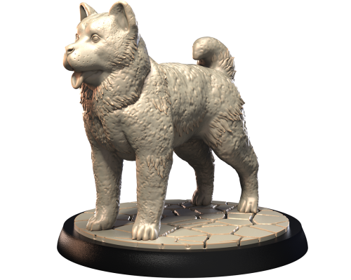 AKITA AMERICAN.png