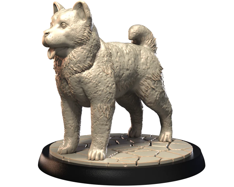 AKITA AMERICAN.png