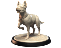 AUSTRALIAN KELPIE.png