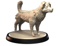 AUSTRALIAN SHEPHERD.png