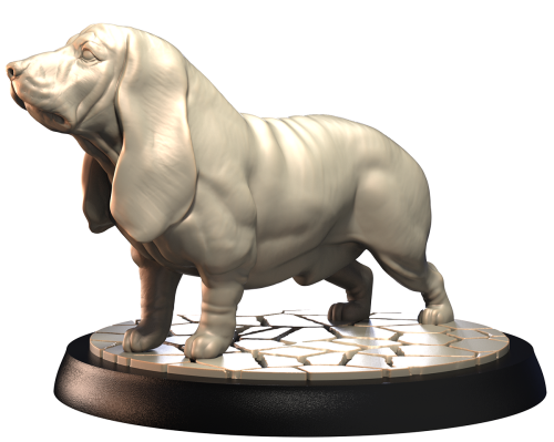 BASSET HOUND.png