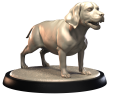 BEAGLE.png
