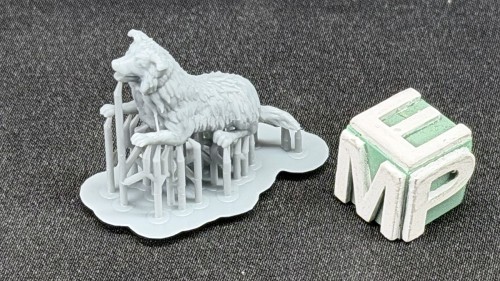 35130160_Border Collie.jpg