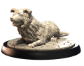 BORDER COLLIE.png
