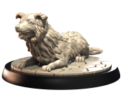 BORDER COLLIE.png