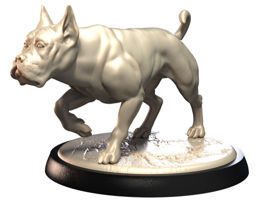 BOXER.png