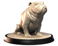 BULL DOG.png