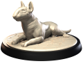 BULL TERRIER.png