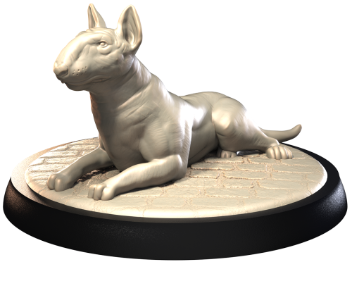 BULL TERRIER.png