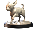 CHIHUAHUA.png