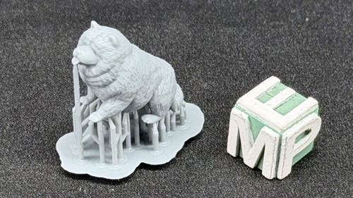 35130166_Chow Chow.jpg