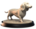 DACHSHUND.png