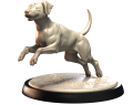DALMATIAN.png