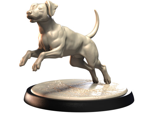 DALMATIAN.png