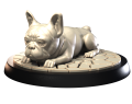 FRENCH BULL DOG.png
