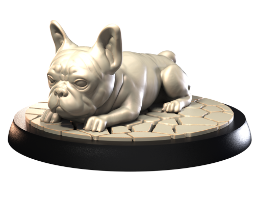 FRENCH BULL DOG.png